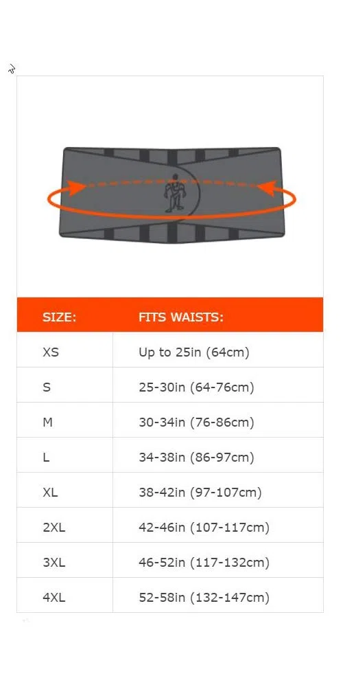 ProFlex Ergodyne 20184 - Cintura contenitiva per la schiena in rete, con cuscinetto lombare