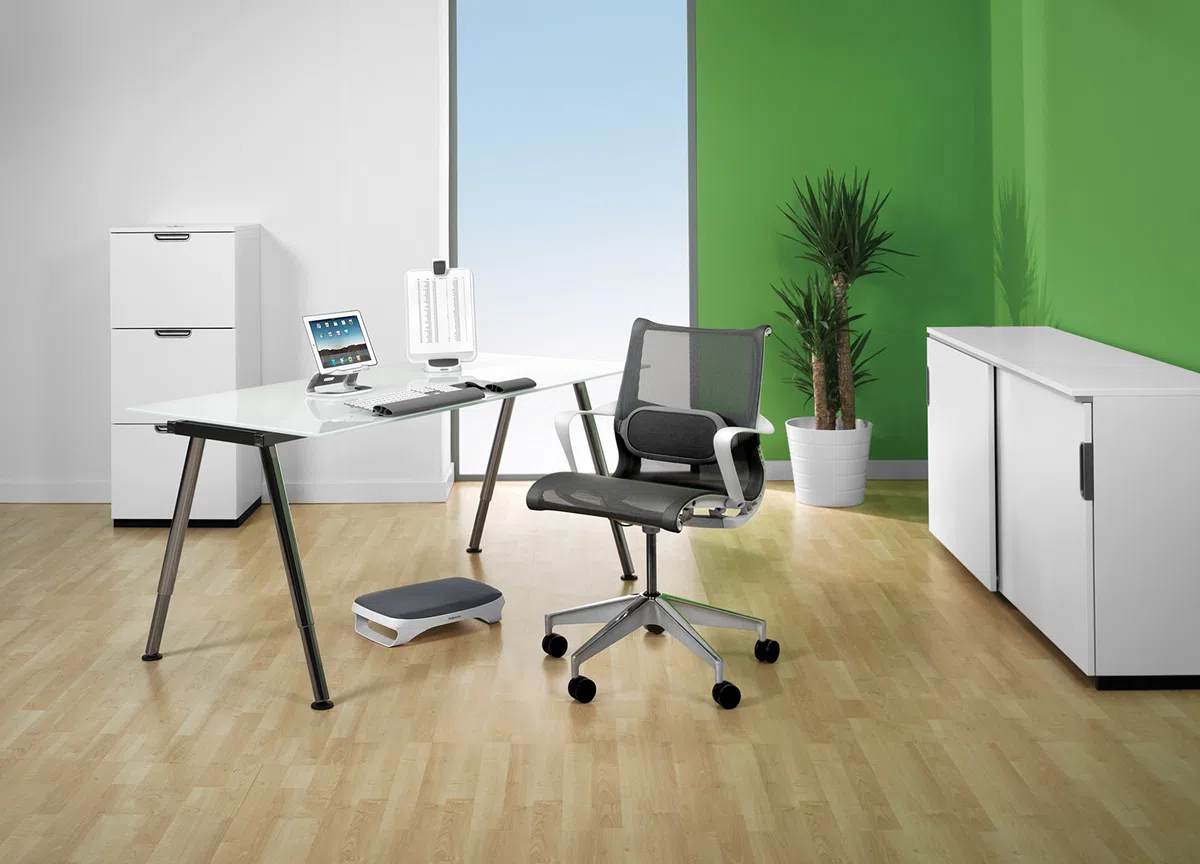 Fellowes 8042201 Cuscino Lombare I-SPIRE Series, Grigio