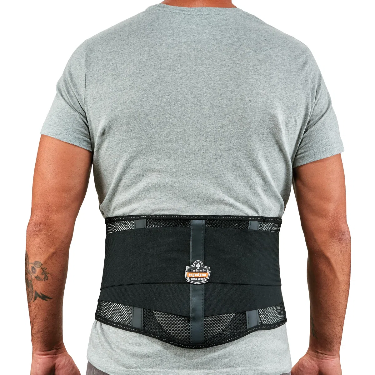 ProFlex Ergodyne 20184 - Cintura contenitiva per la schiena in rete, con cuscinetto lombare